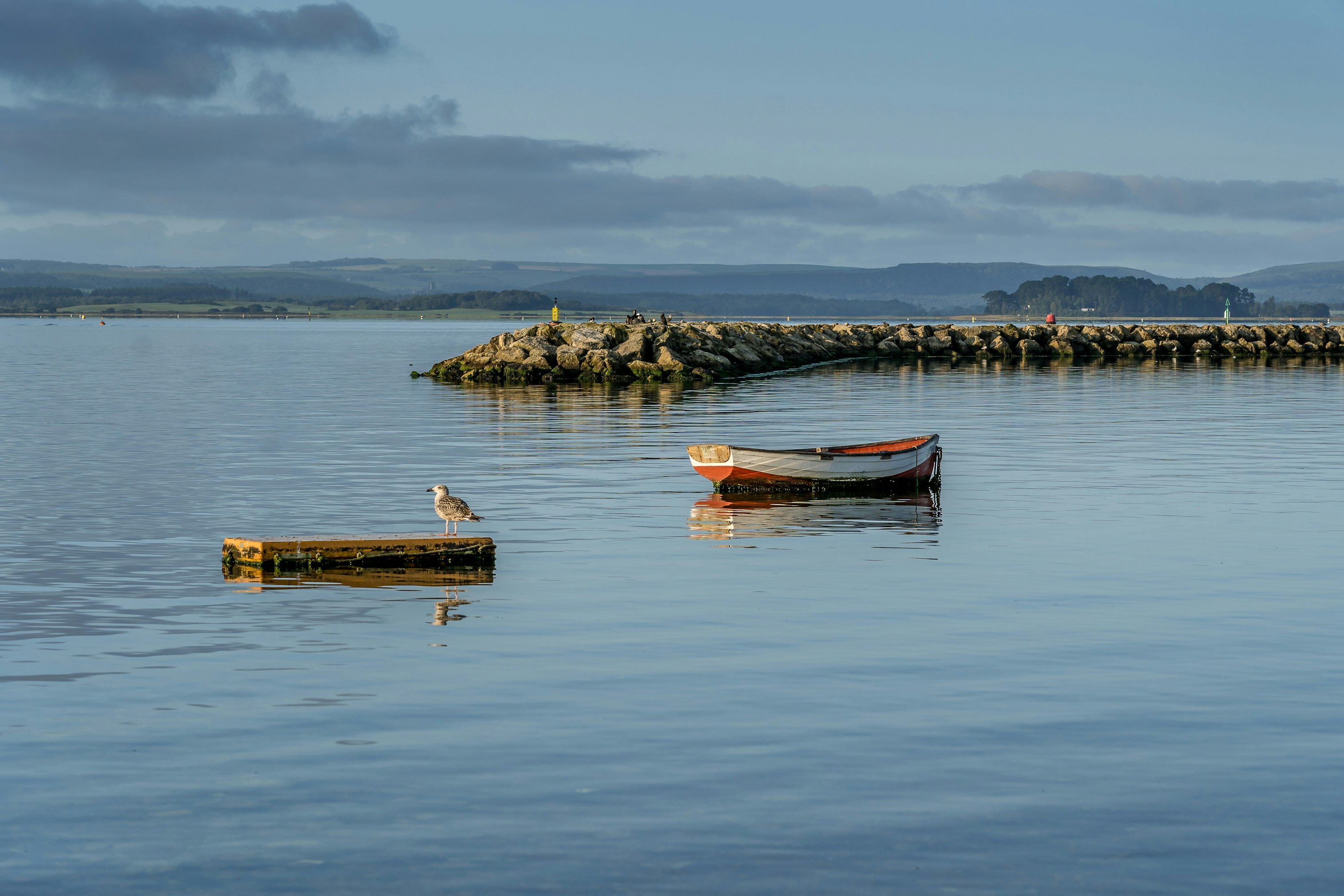 white and red boat on sea during daytime